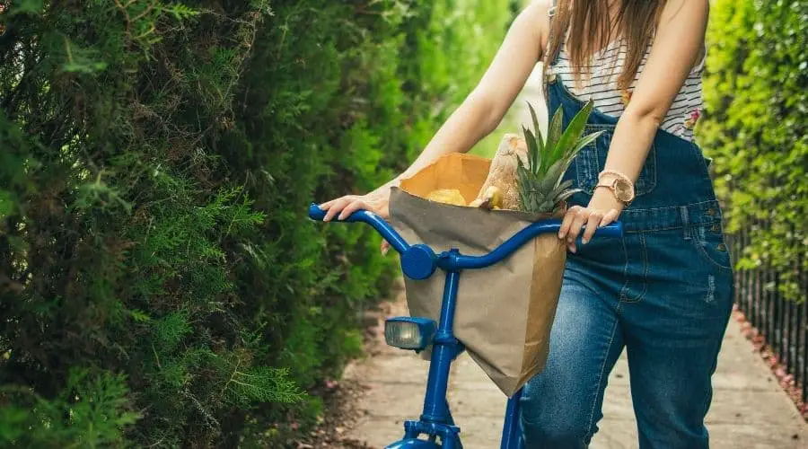 Best Way To Carry Groceries On A Bicycle
