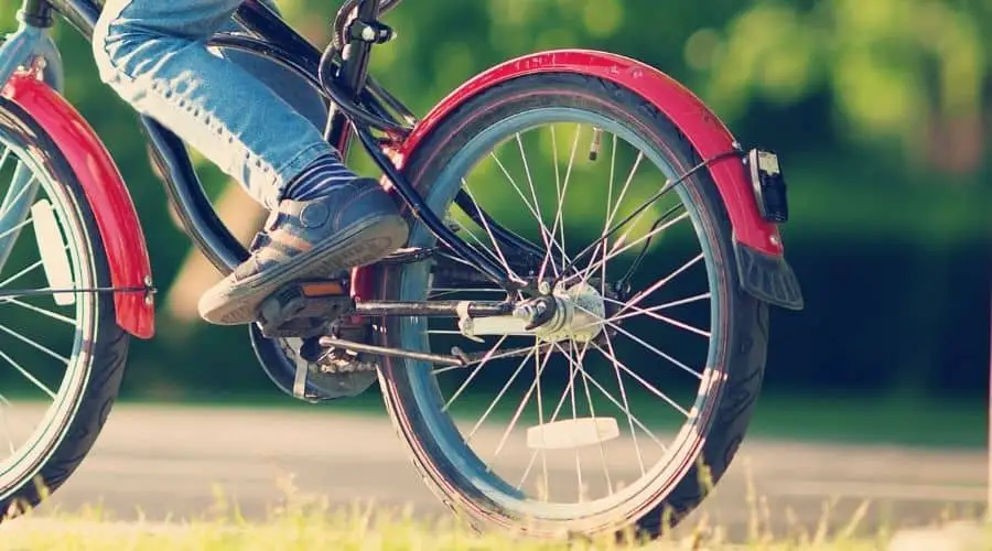 How Do Bicycle Coaster Brakes Work